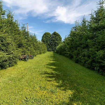 Tatil Evi Cozy In With House A Panoramic View Mrkopalj